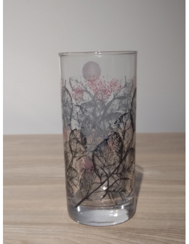 AMST NAYLA VERRE FH  27 YD6