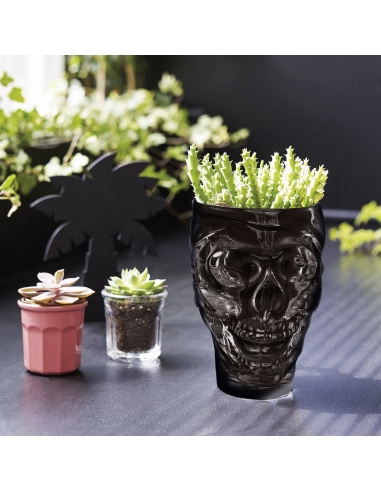 CARNAVAL CORAIL VERRE FB 9