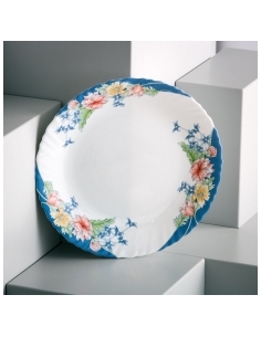 ARCOPAL FLORINE ASS DT