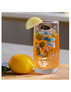 VIGNE SMOOTHIE RECIPES FH...